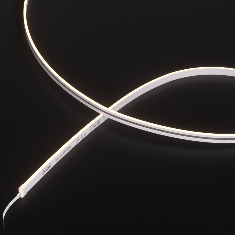 NMS0306-White light-12V