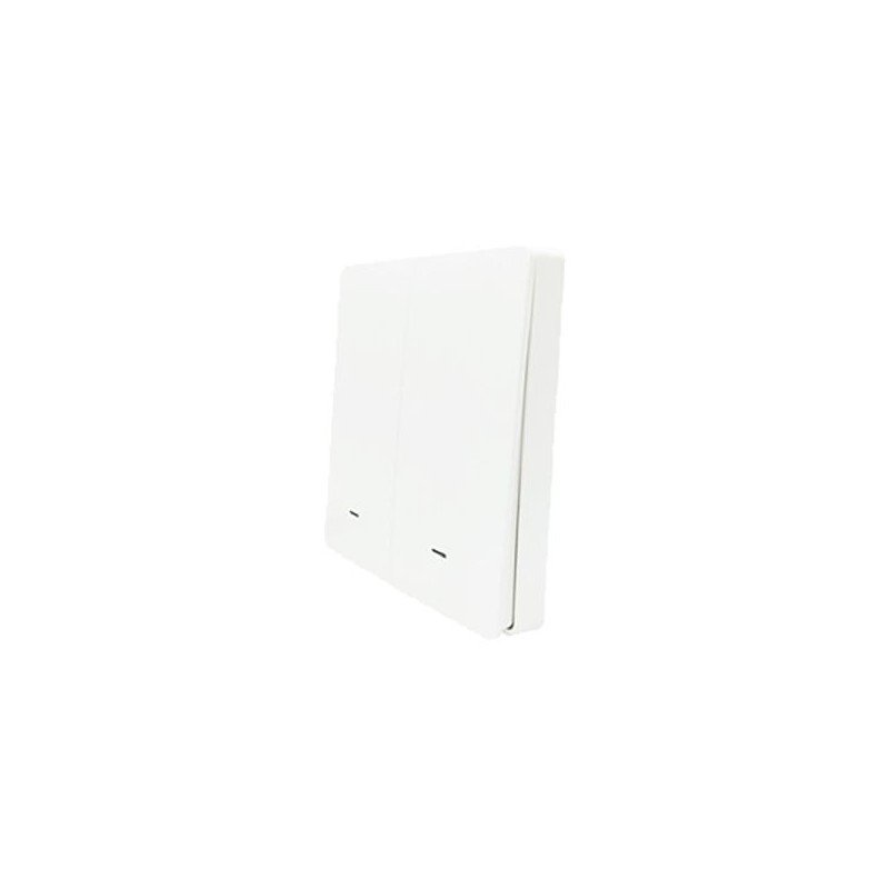SmartWise wall switch front panel, white, 2-button