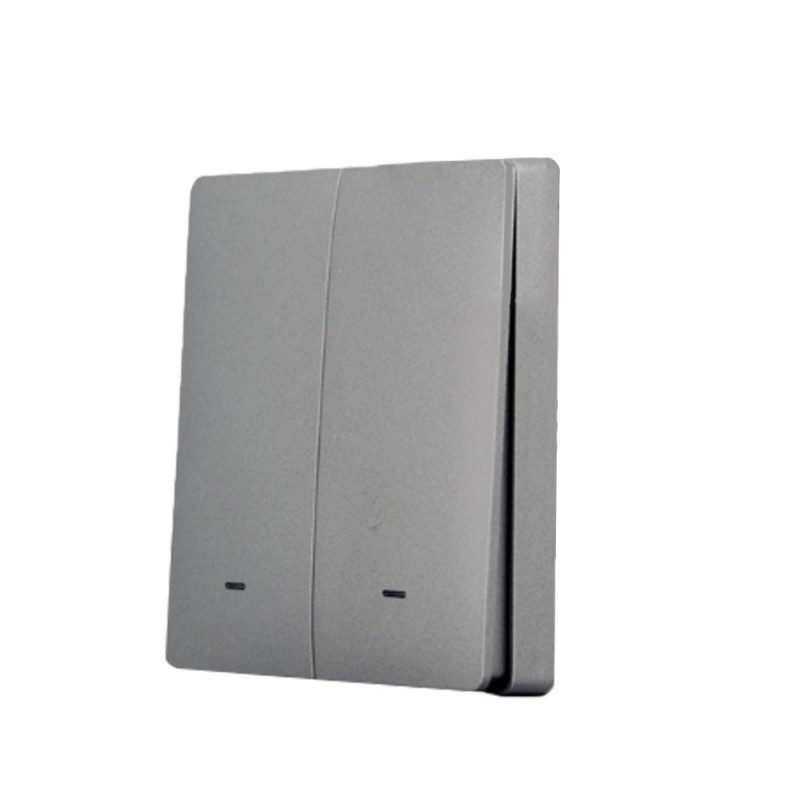SmartWise wall switch front panel, dim grey, 2-button