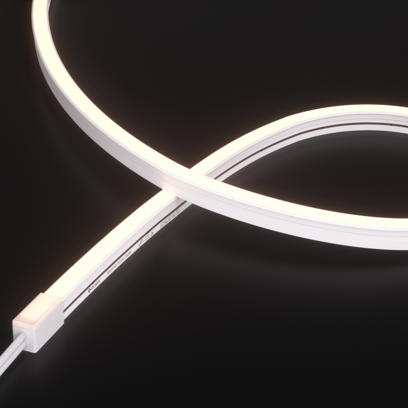 NMS1010T-White light-24V