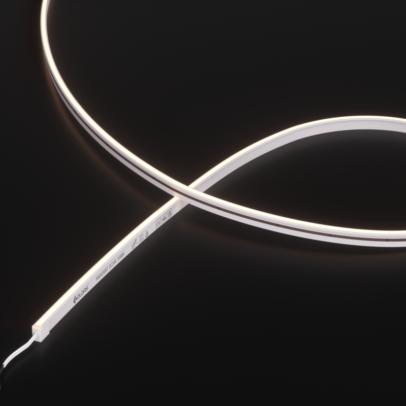 NMS0306T-White light-24V