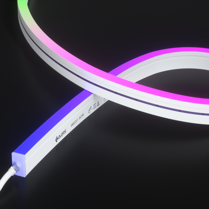 NMS1217-SPI neon light-24V