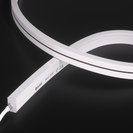 ANS1217-White light-24V