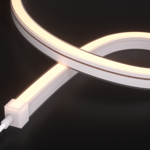 AWS2020-White light-24V