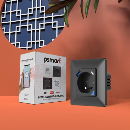 Melns sienas slēdzis USB+TypeC Zigbee