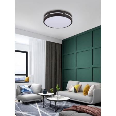 LED RGB griestu lampa apaļa 40cm 24W Wi-Fi