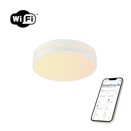 LED RGB griestu lampa apaļa 40cm 24W Wi-Fi