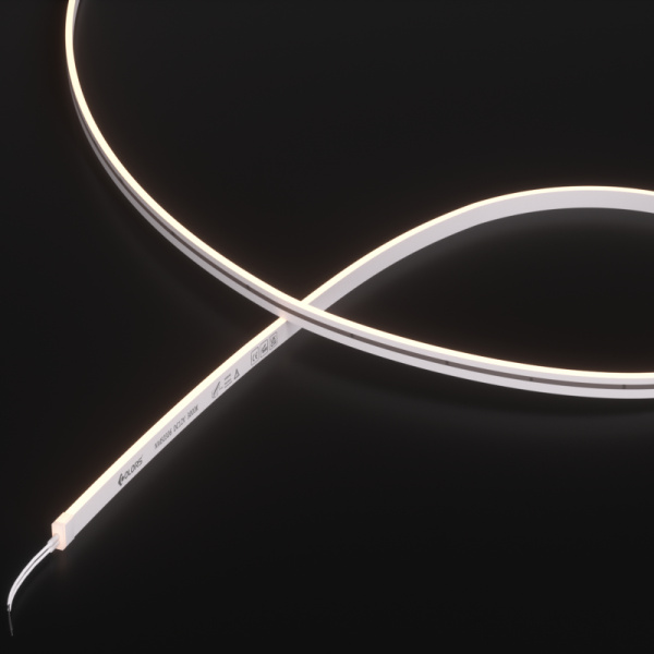 NMS0306-White light-12V