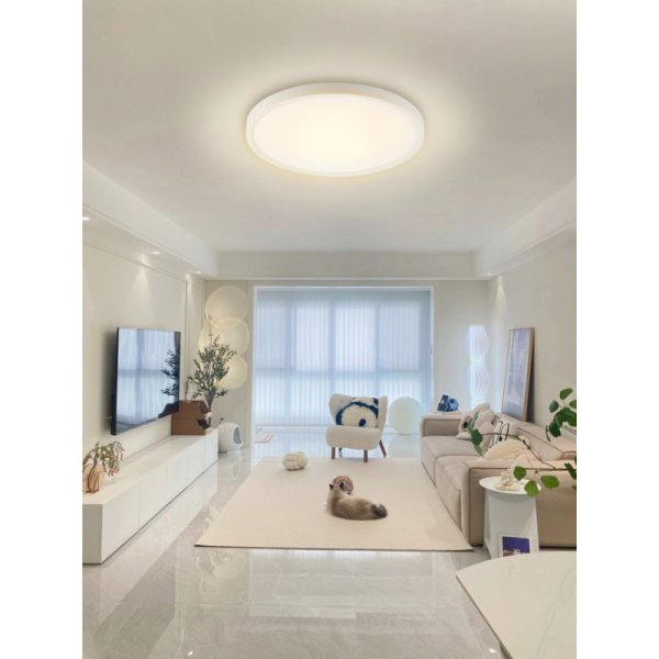 TUDO Smart ceiling luminaire RGB backlight 40cm 50W Tuya WiFi Beacon white