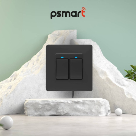 Melns 2 pogu mehāniskais sienas slēdzis Zigbee