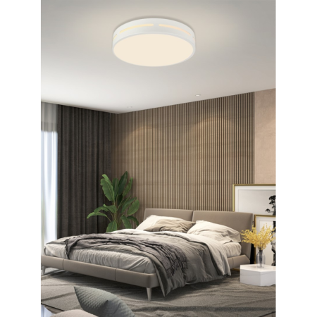 LED RGB griestu lampa apaļa 50cm 48W Wi-Fi