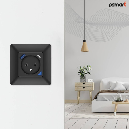 Melns sienas slēdzis USB+TypeC Zigbee