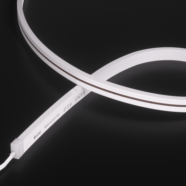 NMS0612-White light-24V