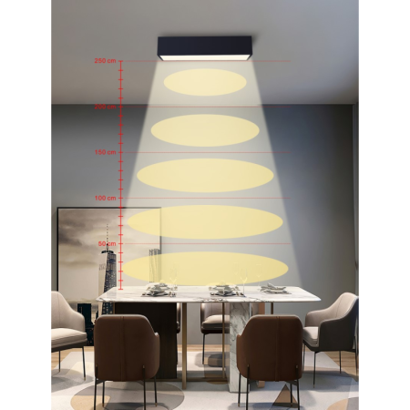 CANTO Smart griestu lampa 60x15cm 34W melns Zigbee 3.0