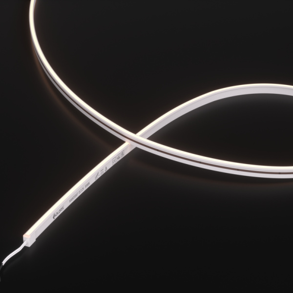 NMS0306T-White light-12V