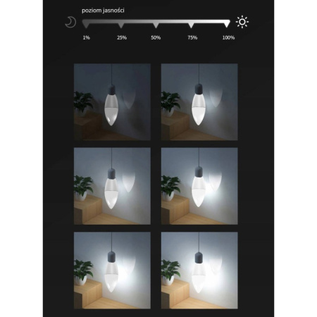 RGBCCT E14 ZigBee GL 4W LED spuldze