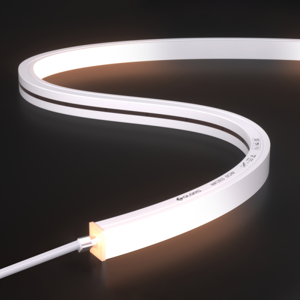 NMT2015-DMX512 White neon light-24V