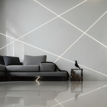 NMS1010-White light-24V