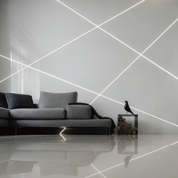 NMS1010-White light-24V