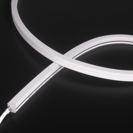 NMS1010-White light-24V