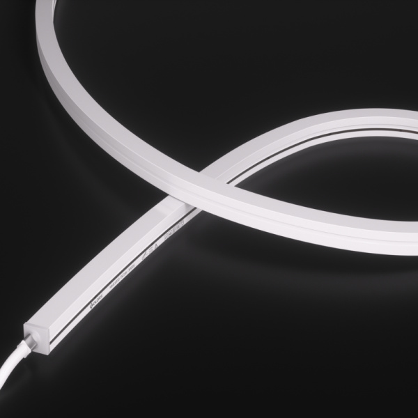 NMS1010-White light-24V