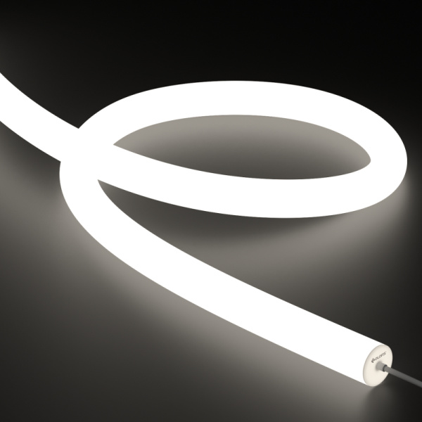 NNR40-White light-24V(HP)