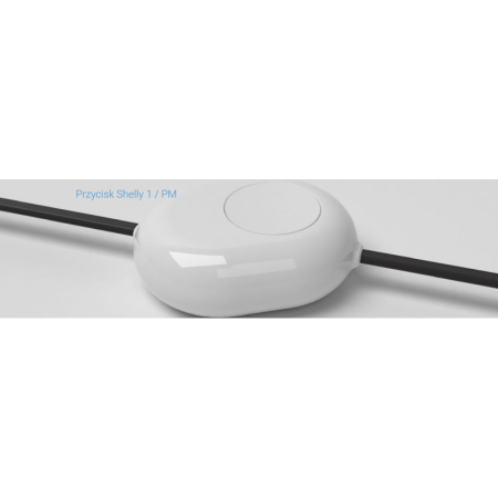 Shelly pogas adapteris