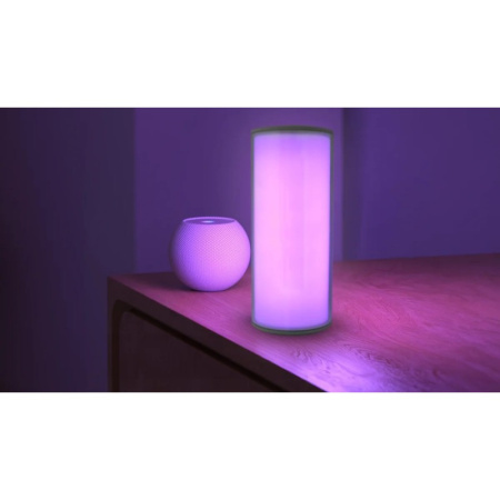 VIEDĀ NAKTS LAMPAS ROKTURIS RGBIC AKUMULATORS USB-C WIFI TUYA