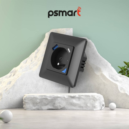 Melns sienas slēdzis USB+TypeC Zigbee