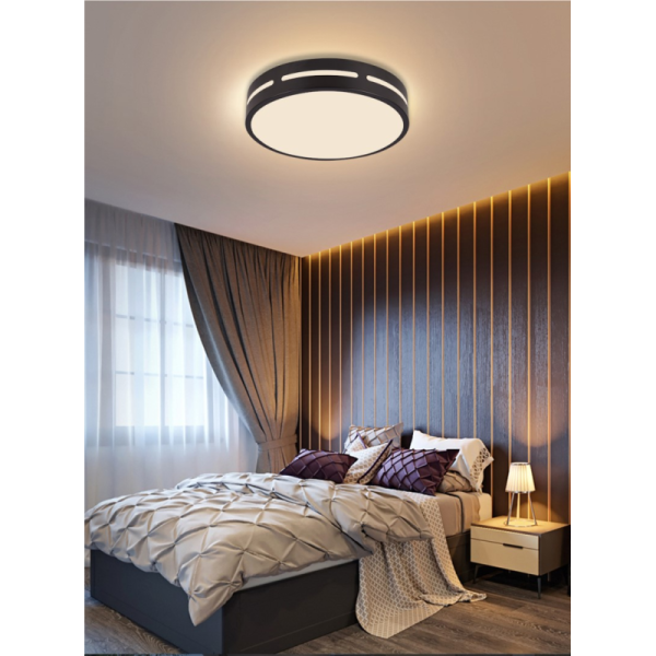 LED RGB Ceiling light round 30cm 24W Wi-Fi