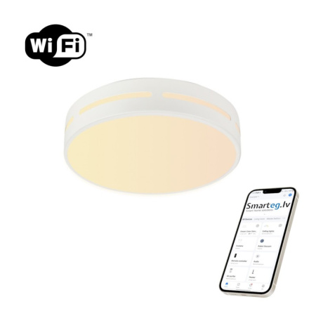LED RGB griestu lampa apaļa 50cm 48W Wi-Fi