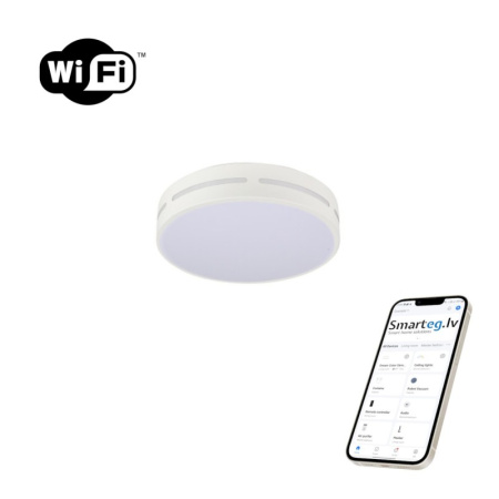 LED RGB griestu lampa apaļa 30cm 24W Wi-Fi
