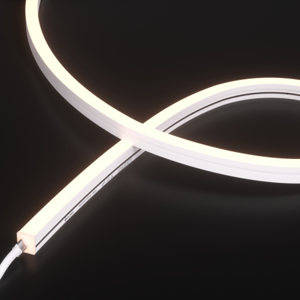 NMS1010-White light-24V