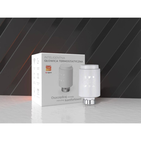 GTZ08 ZigBee 3.0 TUYA termostata galva