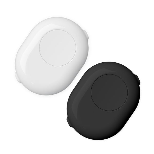 Shelly pogas adapteris