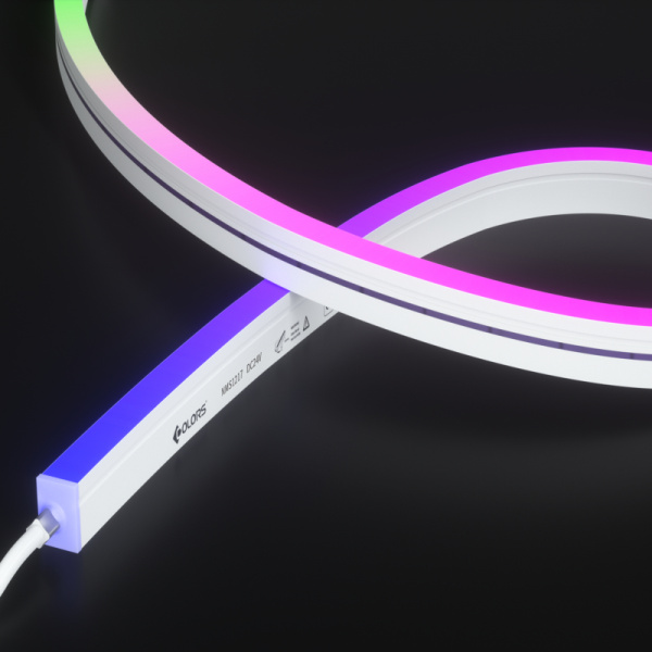 NMS1217-SPI neon light-24V