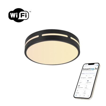 LED RGB griestu lampa apaļa 40cm 24W Wi-Fi