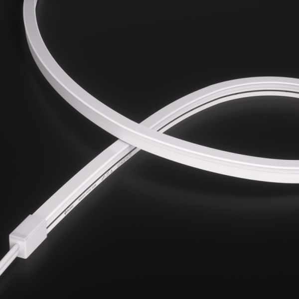 NMS1010T-White light-24V