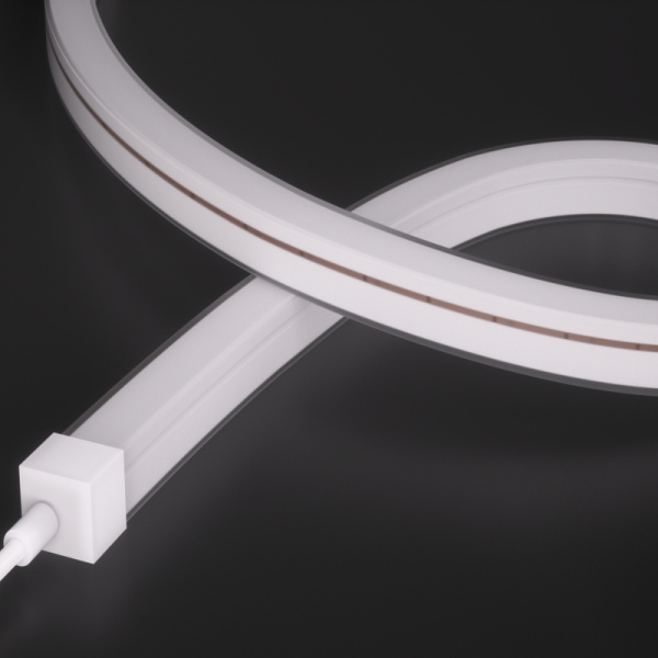 AWS2020-White light-24V