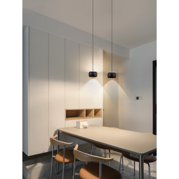 DORMINE Smart retractable luminaire, black mat, Zigbee 3.0