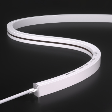 NMT2015-DMX512 White neon light-24V