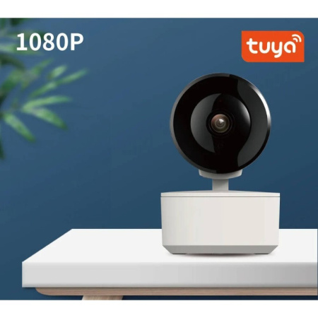 Onvif viedā Wi-Fi kamera