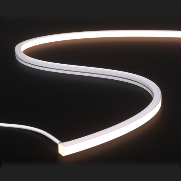 NMT1010T-White light-24V