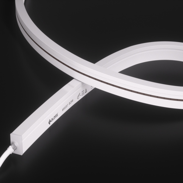 AHS1217-White light-48V