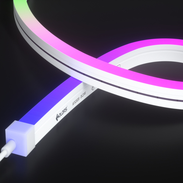 AFS2020-DMX512 RGB neon light-24V