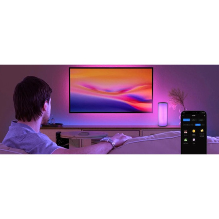 VIEDĀ NAKTS LAMPAS ROKTURIS RGBIC AKUMULATORS USB-C WIFI TUYA